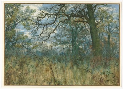 Trær og undervekst, 1885. av Garden William Fraser