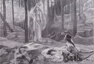 Åpenbaringen (Brunnhilde oppdager Sieglinde og Siegmund) (litho) av Gaston Bussiere