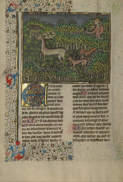 Jaktens bok av Gaston Phébus