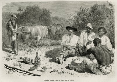 En gruppe vaqueros som spiller kort og drikker alkohol, i nærheten av okseflokkene deres, graverer etter en tegning av G.Vuillier, for å illustrere historien De Cayenne aux Andes, av Jules Crevaux, lege for den franske marinen, i 1878-1879, utgitt i tour d av Gaston Vuillier