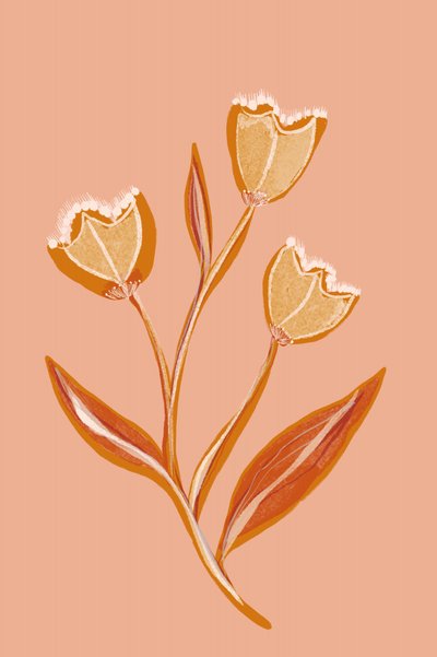 Myke ferskenblomster av Gemma Bardot