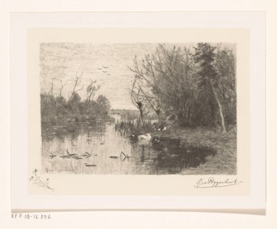 Ender langs og på bredden av en sølepytt Andetiss (original tittel) av Geo Poggenbeek (signed by artist)