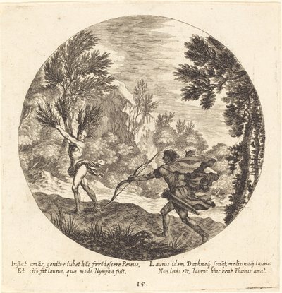 Daphne vender seg til en laurbær av Georg Andreas Wolfgang the Elder