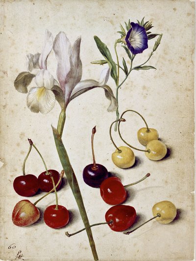  av Georg Flegel
