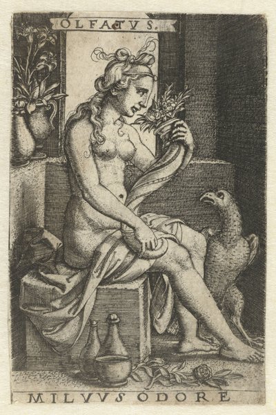 Lukt (Olfactus) Olfatvs milvvs odore (tittel på objekt) Five Senses (serietittel) av Georg Pencz