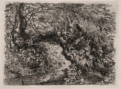 The Old Willow at a Brook, 1794. av Georg von Dillis