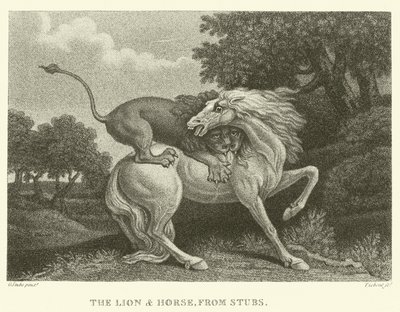Løven og hesten, fra stubber (gravering) av George (after) Stubbs