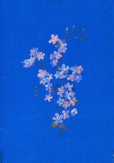 Forglemmegei, 1960-tallet (gouache på farget kort) av George Adamson