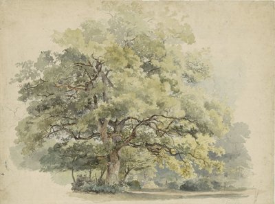 Trestudie av George Andries Roth