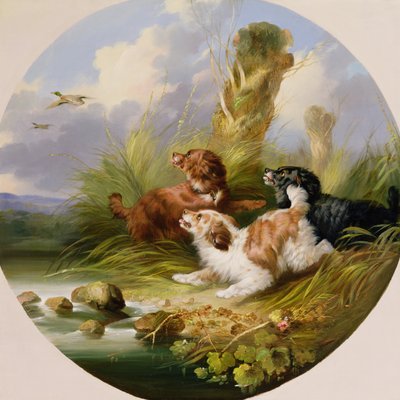 Three Spaniels Flushing Mallard (olje på lerret) av George Armfield