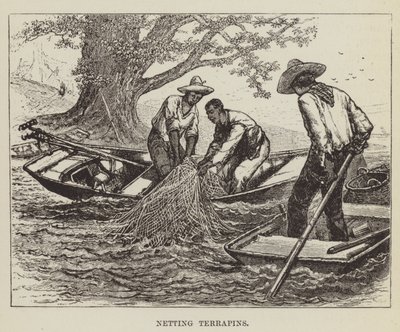 Netting terrapins av George Augustus Sala