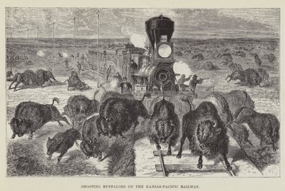Å skyte bøfler på Kansas-Pacific Railway av George Augustus Sala