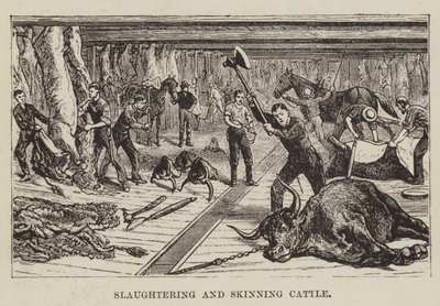 Slakting og flåing av storfe av George Augustus Sala