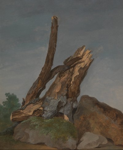Studie av bergarter og grener av George Augustus Wallis
