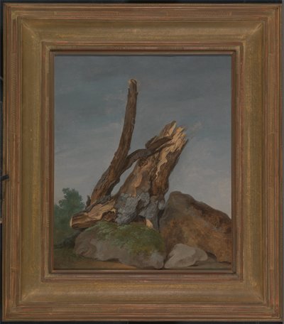  av George Augustus Wallis