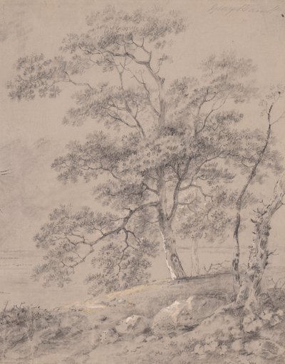 Trestudie av George Barret