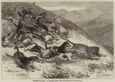 Jakt i India, en leopardjakt med revehunder ved Ootacamund av George Bouverie Goddard