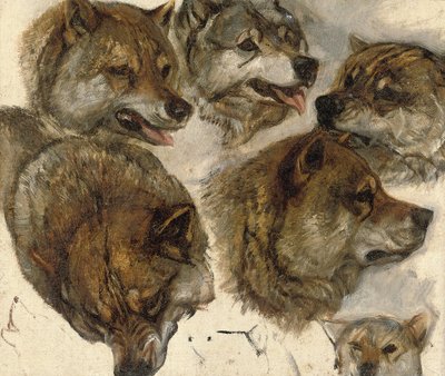 Studier av huskyer" hoder av George Bouverie Goddard