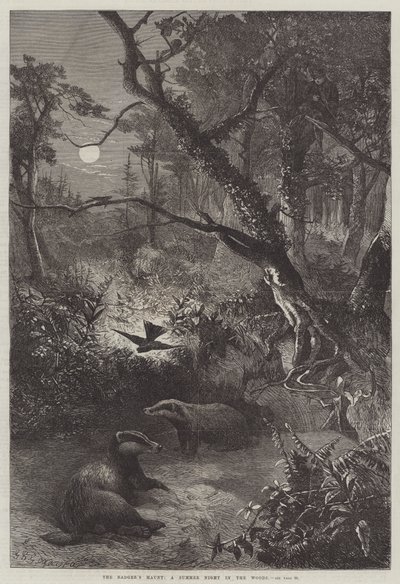 Grevlingens tilholdssted, en sommernatt i skogen av George Bouverie Goddard