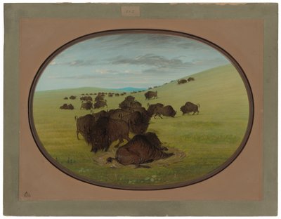 En bøffelvalk av George Catlin