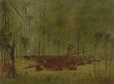 En kamp med peccaries - Caribbe, 18541869. av George Catlin