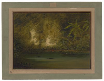 En lagune ved øvre Amazonas av George Catlin