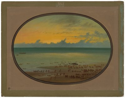 En hval i land - Klahoquat av George Catlin