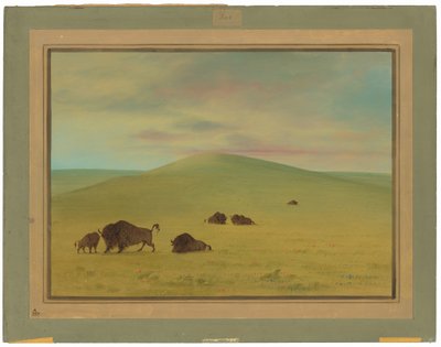 American Pasturage - Prairies of the Platte av George Catlin