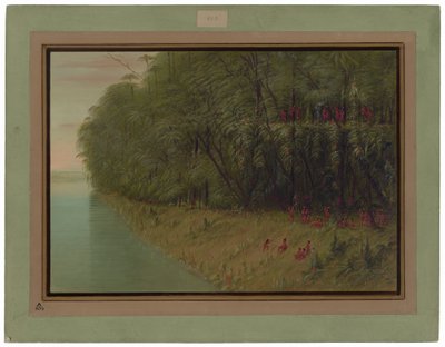 En Amazonasskog - Ser i land av George Catlin
