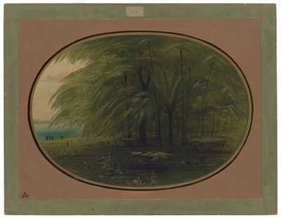 En indisk landsby - kysten av Amazonas av George Catlin