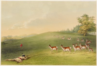 Antilopejakt av George Catlin