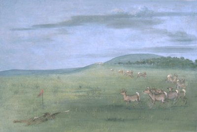  av George Catlin