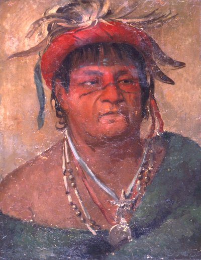 Aúh-ka-nah-paw-wáh, Jordstående, en gammel og tapper kriger av George Catlin