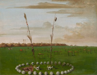 av George Catlin