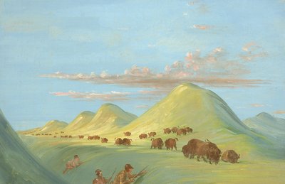  av George Catlin