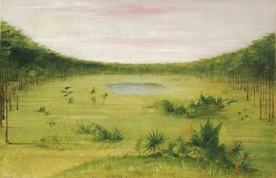  av George Catlin