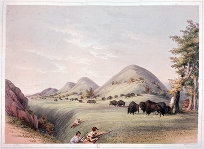 Bisonjakt av George Catlin
