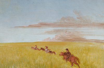 Bogard, Batiste og jeg, Reiser gjennom en Missouri-bunn, 1837-1839. av George Catlin