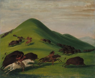  av George Catlin