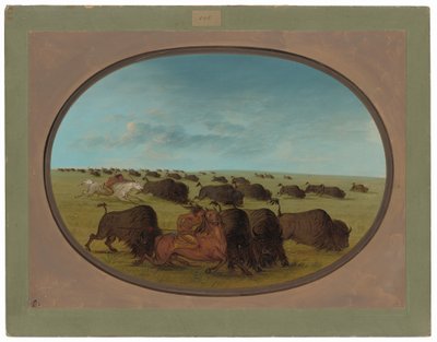 Buffalo Chase, med ulykker av George Catlin