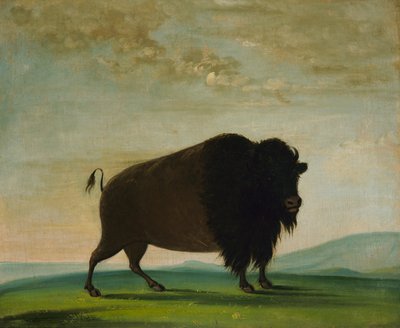  av George Catlin