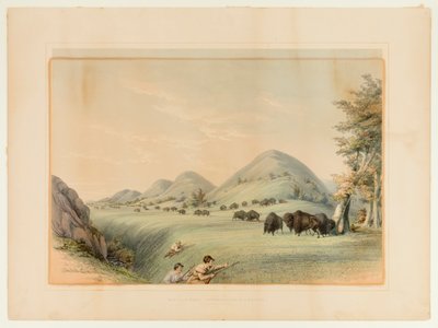  av George Catlin