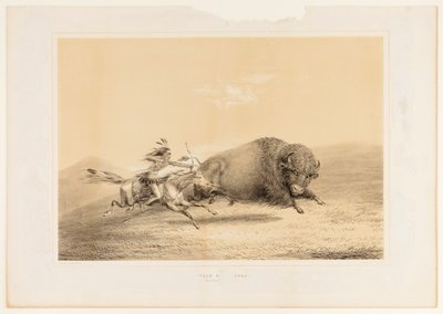  av George Catlin