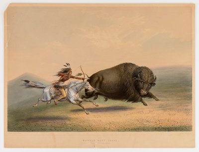 av George Catlin