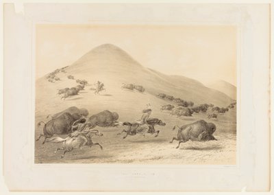  av George Catlin