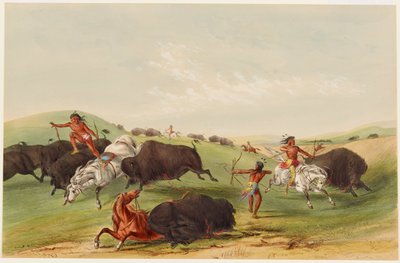 Bøffeljakt: forfølgelse av George Catlin