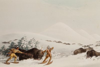 Bøffeljakt på truger av George Catlin