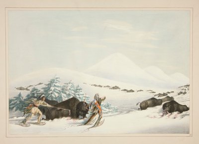 Buffalo Hunt, On Snow Shoes, pl. 15 fra North American Indian Portfolio av George Catlin