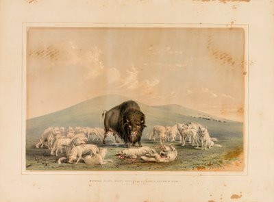  av George Catlin