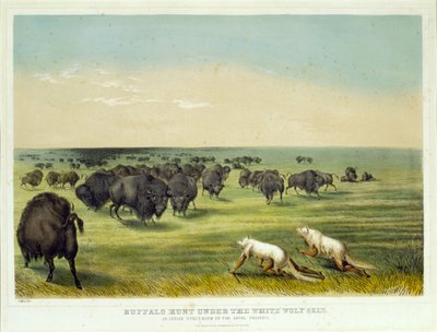 Bøffeljakt under den hvite ulveskinnet av George Catlin